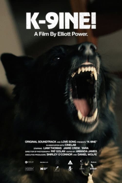 Poster for K-9INE!