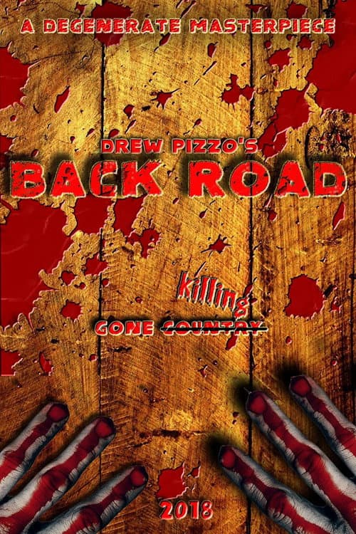 Poster for Back Road