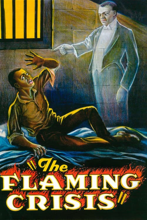 Poster for The Flaming Crisis