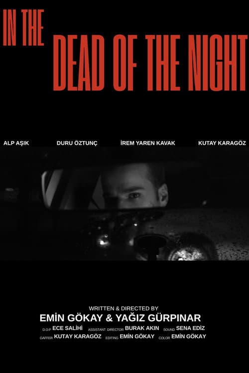 Poster for In the Dead of the Night