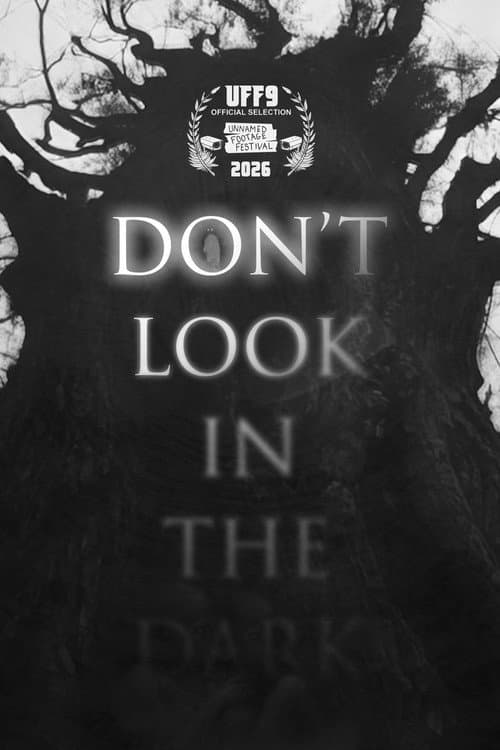 Poster for Don't Look in the Dark