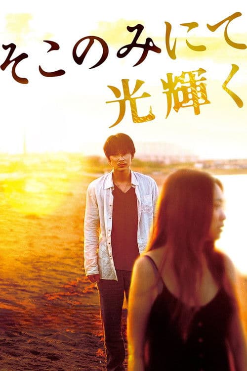 Poster for The Light Shines Only There