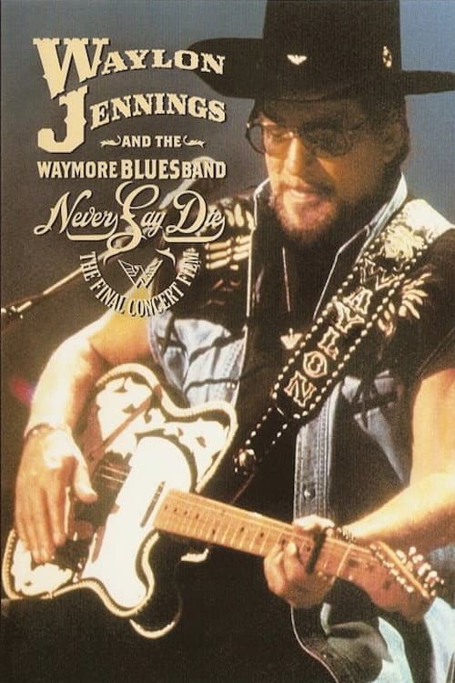 Poster for Never Say Die: The Final Concert Film