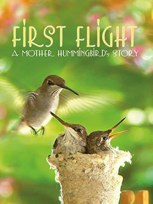 Poster for First Flight: A Mother Hummingbird's Story