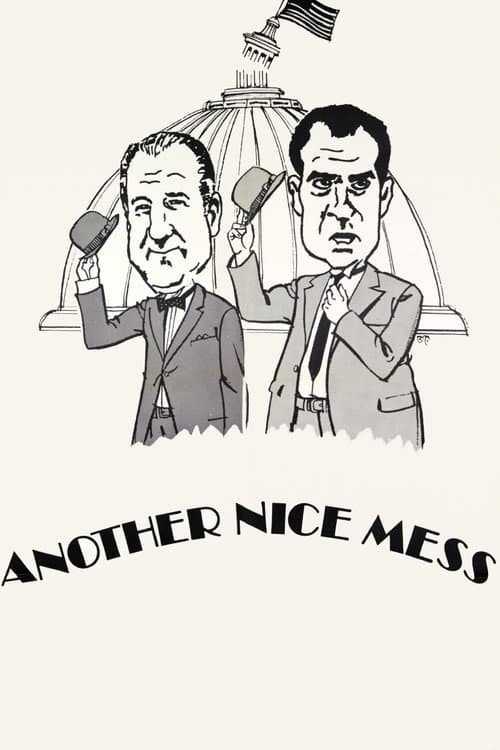 Poster for Another Nice Mess