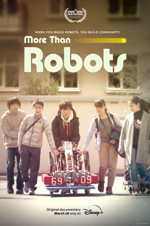 Poster for More Than Robots