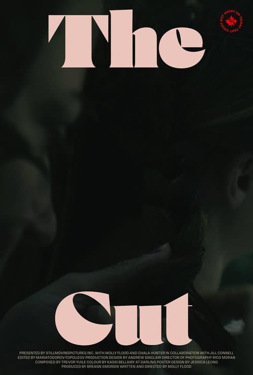 Poster for The Cut