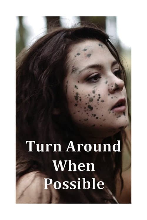 Poster for Turn Around When Possible