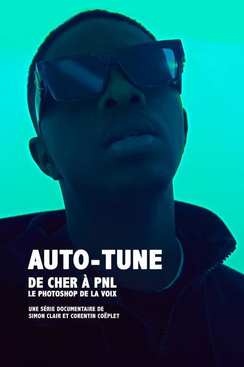 Poster for Auto-Tune : de Cher à PNL, le Photoshop de la voix