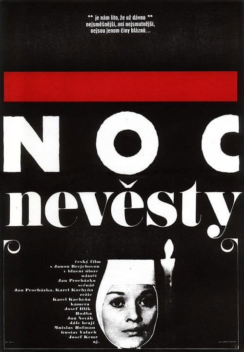 Poster for The Nun's Night