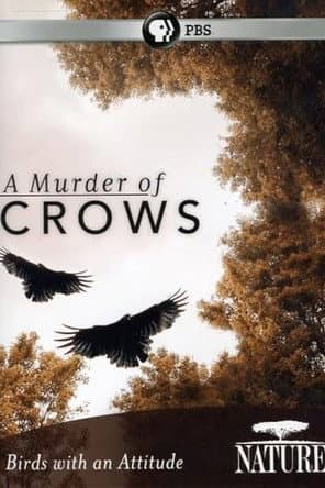 Poster for A Murder of Crows