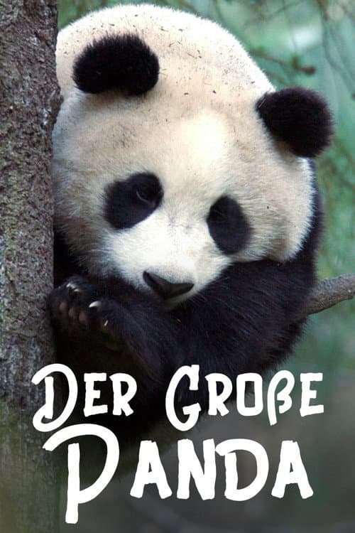 Poster for The Giant Panda