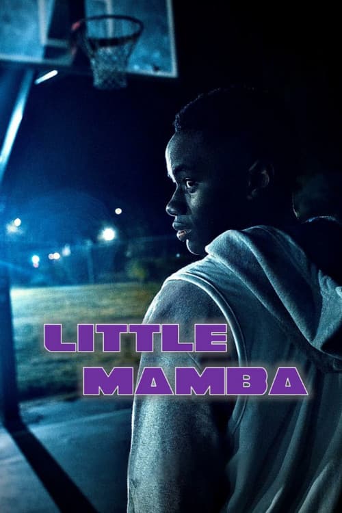 Poster for Little Mamba