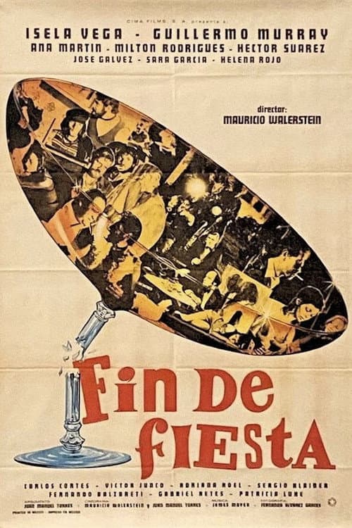 Poster for End of the Party