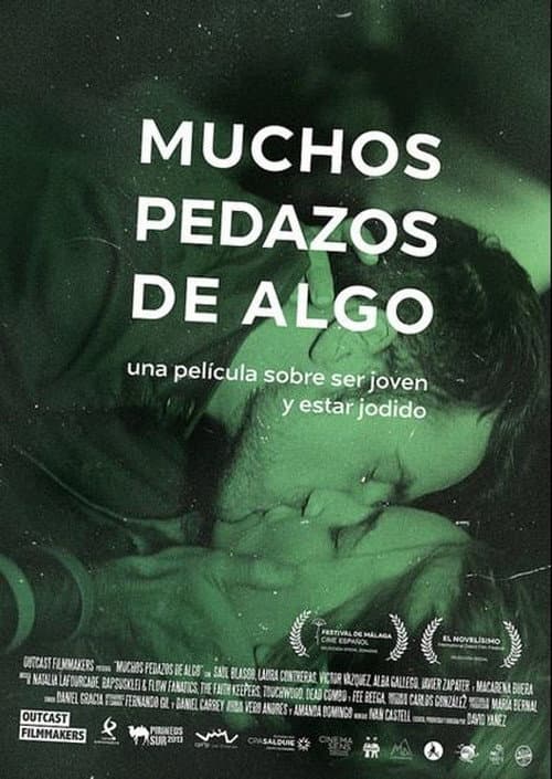 Poster for Many Pieces of Something