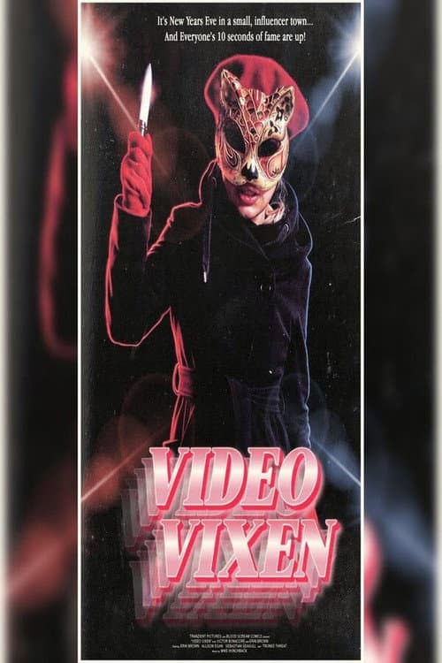 Poster for Video Vixen