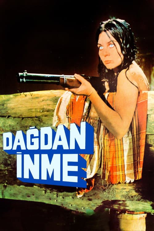 Poster for Dağdan İnme