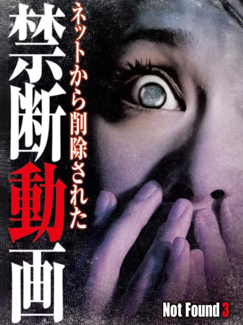 Poster for Not Found 3