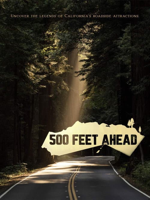 Poster for 500 feet ahead
