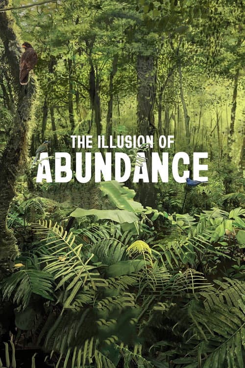 Poster for The Illusion of Abundance
