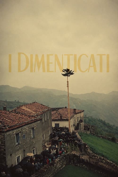 Poster for The Forgotten