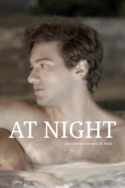 Poster for At Night
