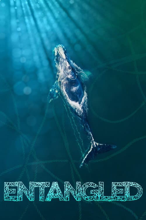 Poster for Entangled