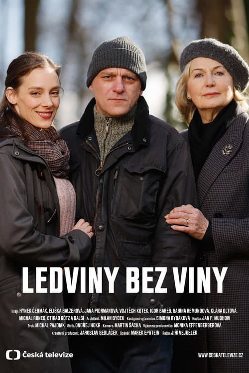 Poster for Ledviny bez viny