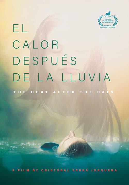 Poster for The Heat After the Rain
