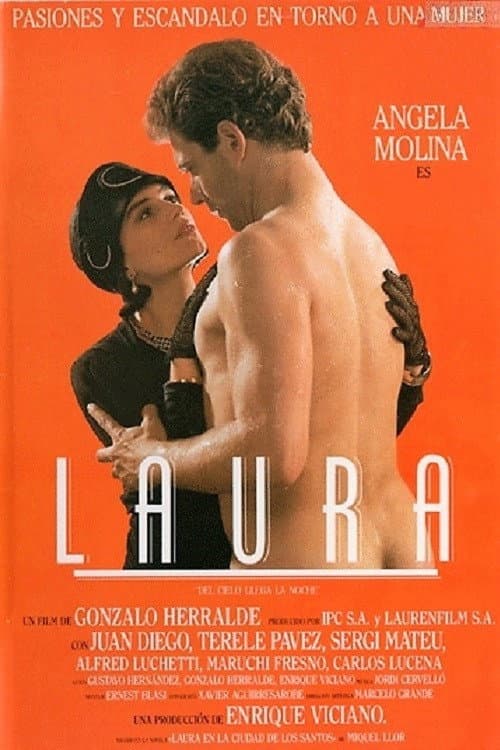 Постер до фільму «Laura, del cielo llega la noche»