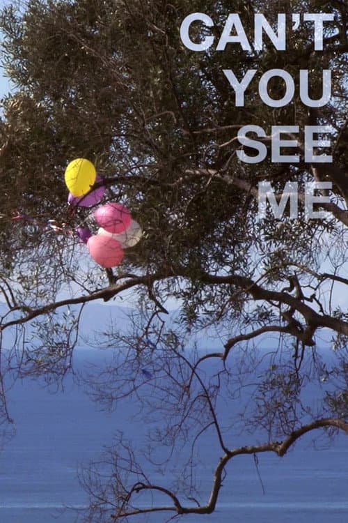 Poster for Can't You See Me