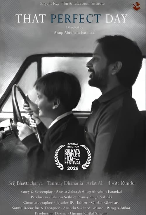 Poster for That Perfect Day