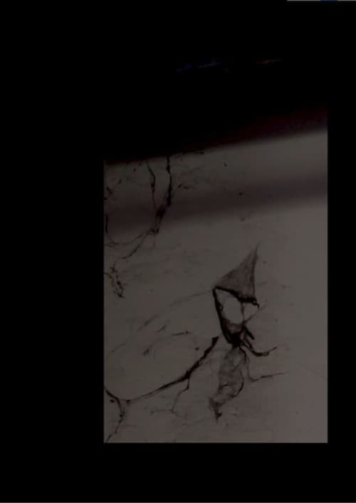 Poster for RITUAL, Part IV: The Blends