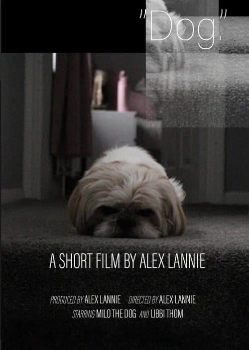 Poster for “Dog.”