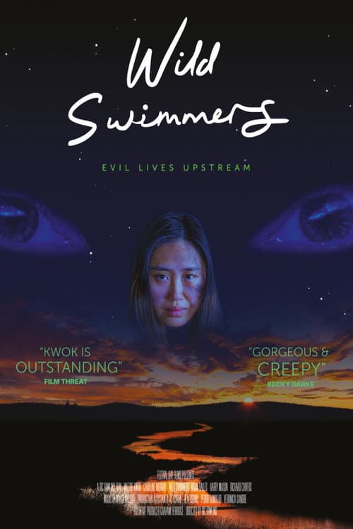 Poster for Wild Swimmers