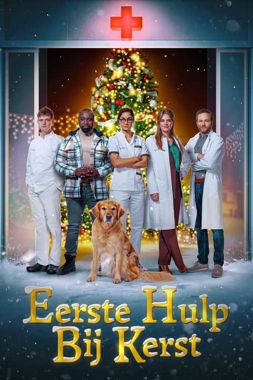 Poster for Eerste Hulp Bij Kerst