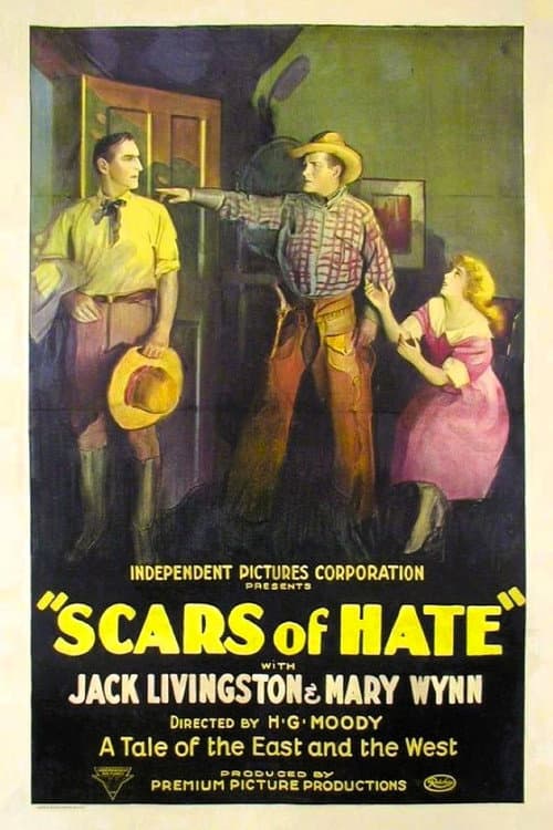 Poster for Scars of Hate