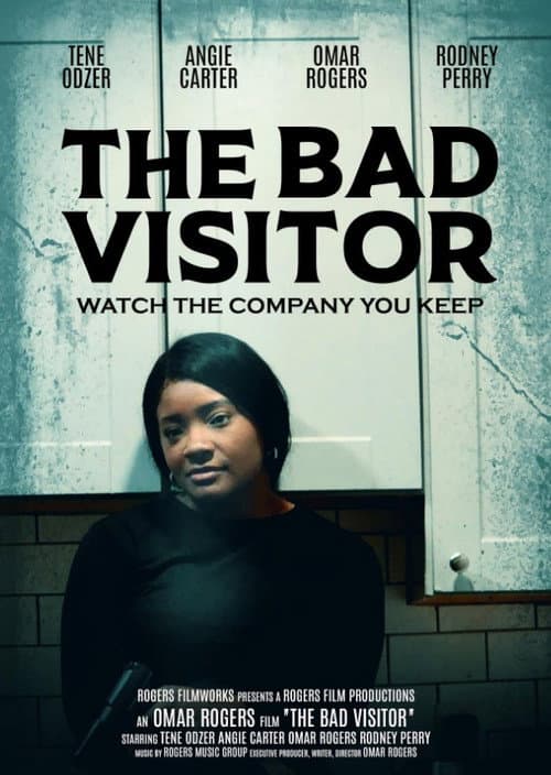 Poster for The Bad Visitor
