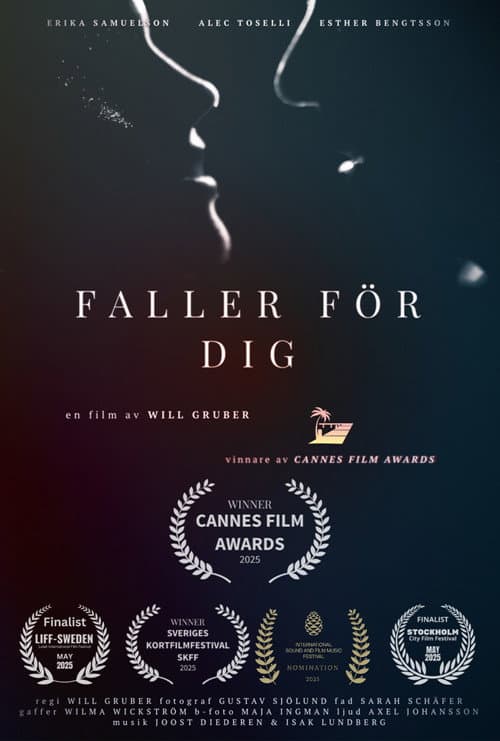 Poster for Faller För Dig