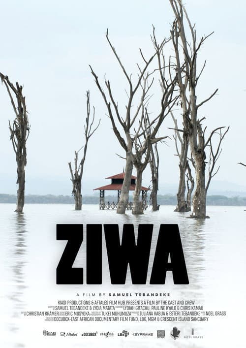 Poster for Ziwa
