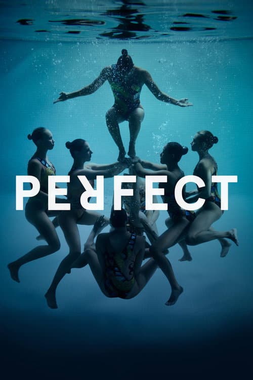 Poster for Perfect