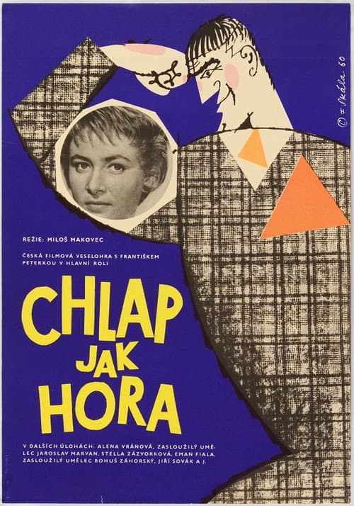 Poster for Chlap jako hora