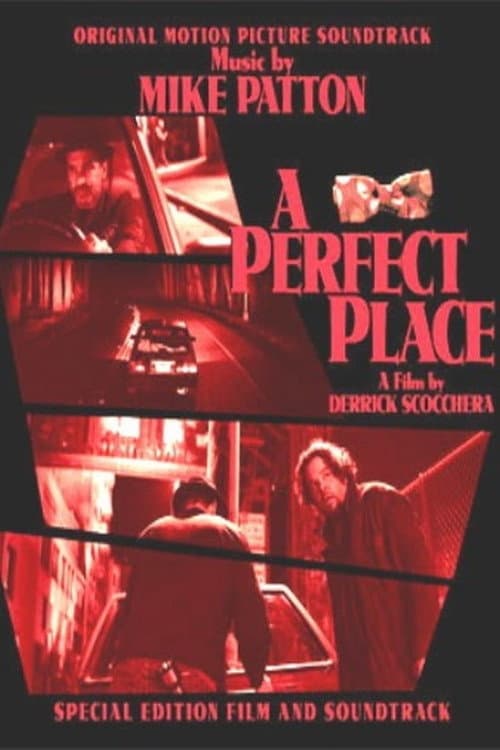 Poster for A Perfect Place