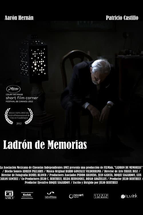 Poster for Ladrón de memorias
