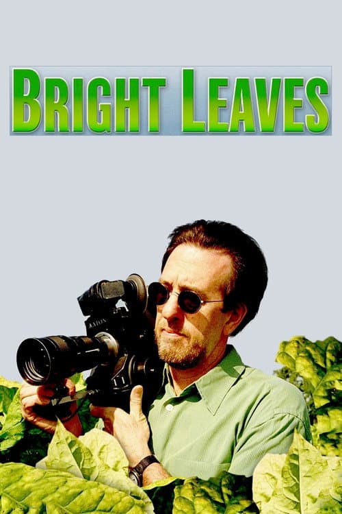 Poster for Bright Leaves