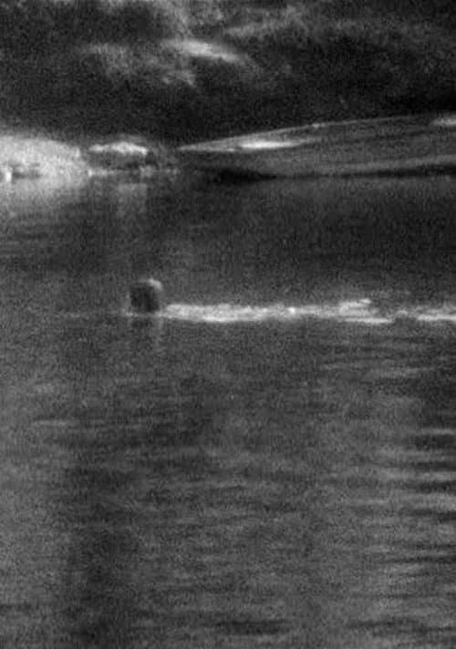 Poster for Swimming