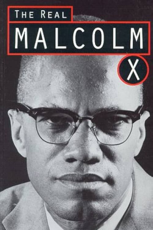 Poster for The Real Malcolm X