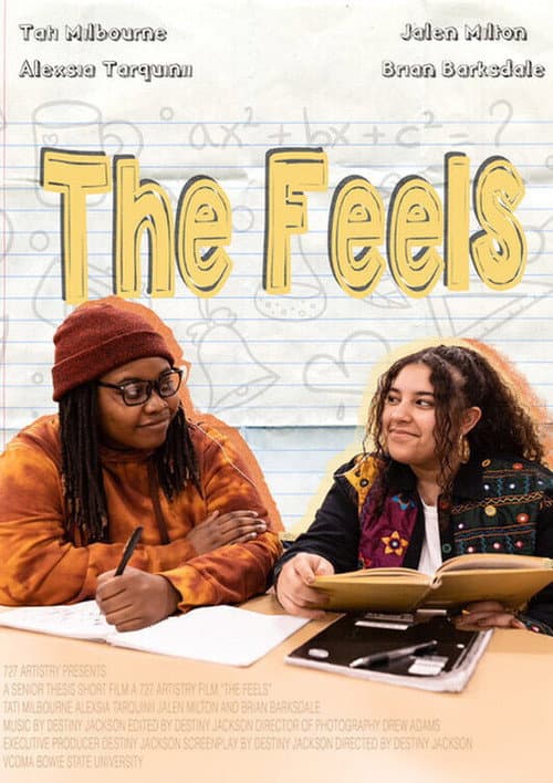 Poster for The Feels