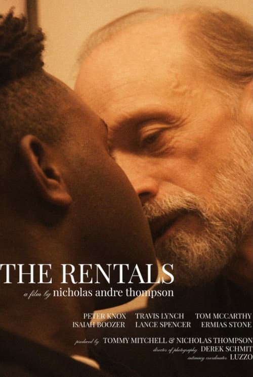 Poster for The Rentals