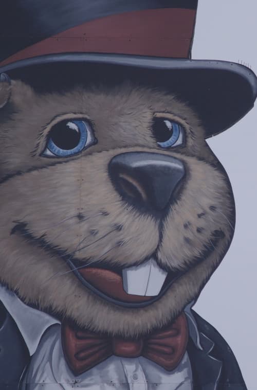 Poster for Groundhog Town